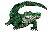 RayGator Logo